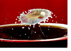 Thanks to Cheval Brasil on Flickr for the great shot of a balancing milk drop