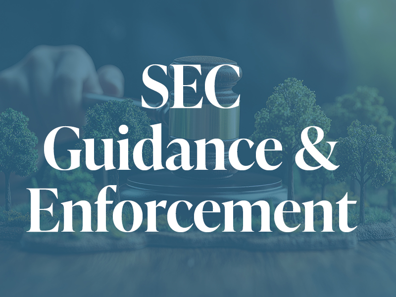 SEC Guidance & Enforcement
