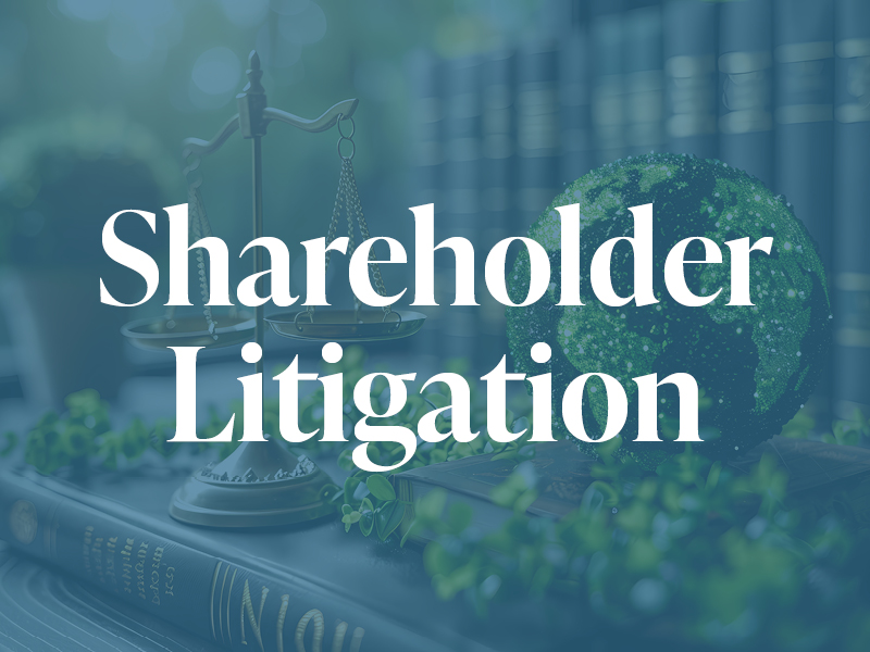 Shareholder Litigation