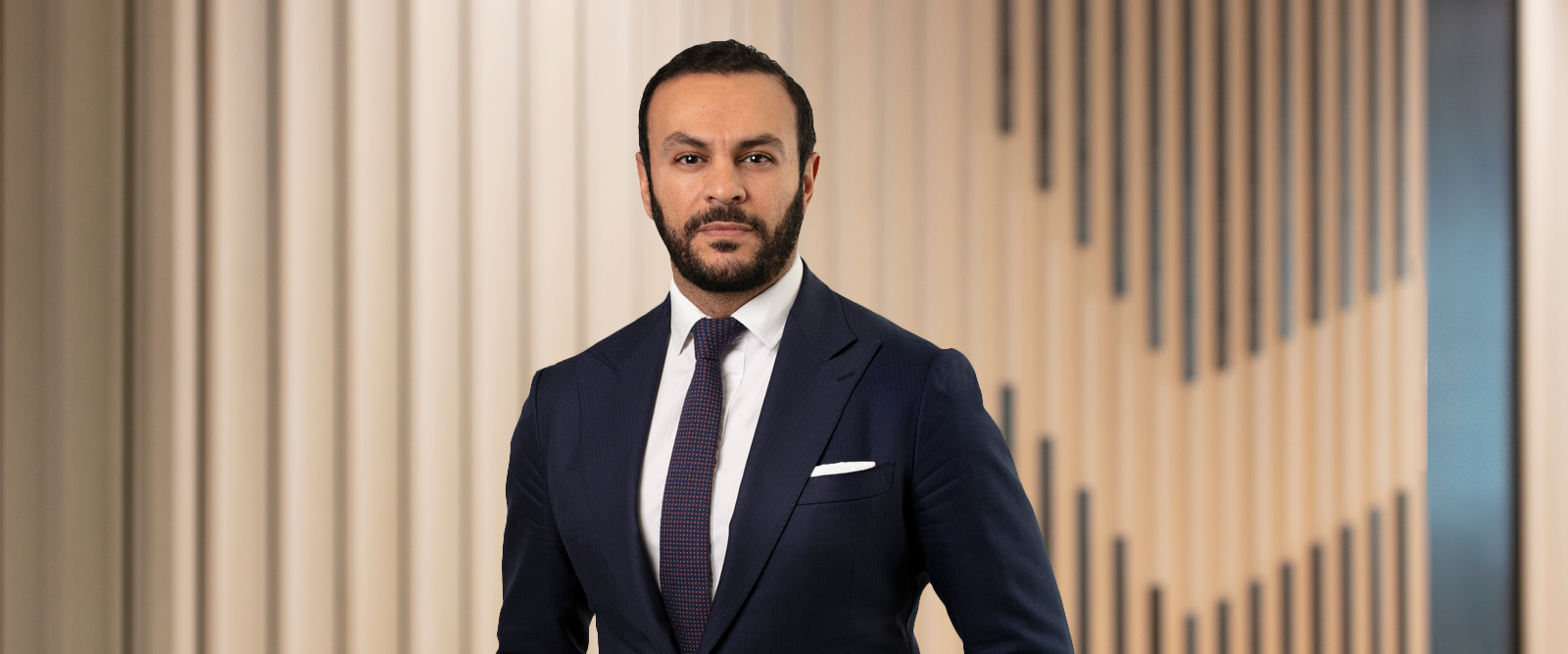 Bahgat, Tamer