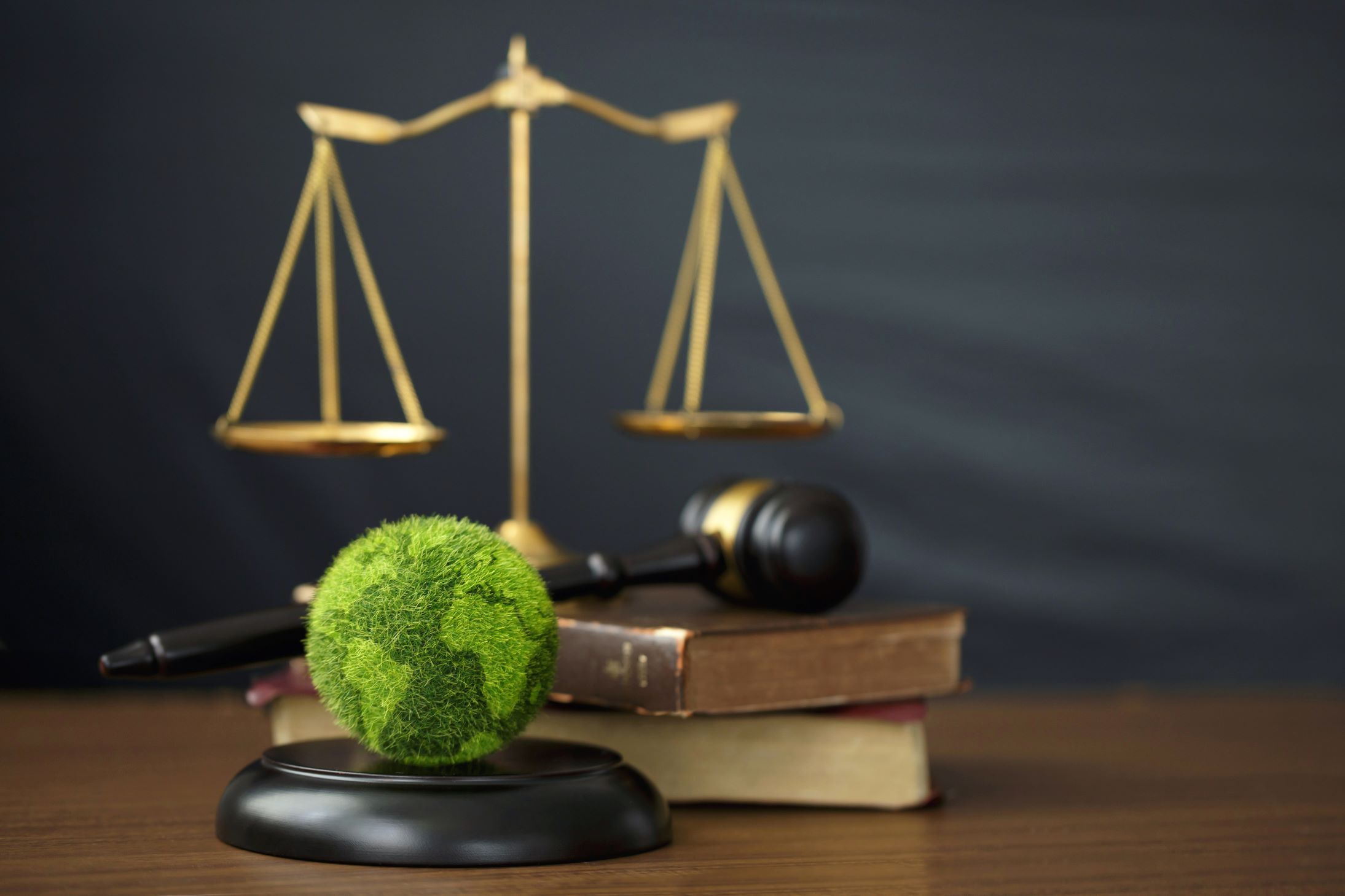 CARB Climate Disclosure Rulemaking Delay for Regulated Entities ...